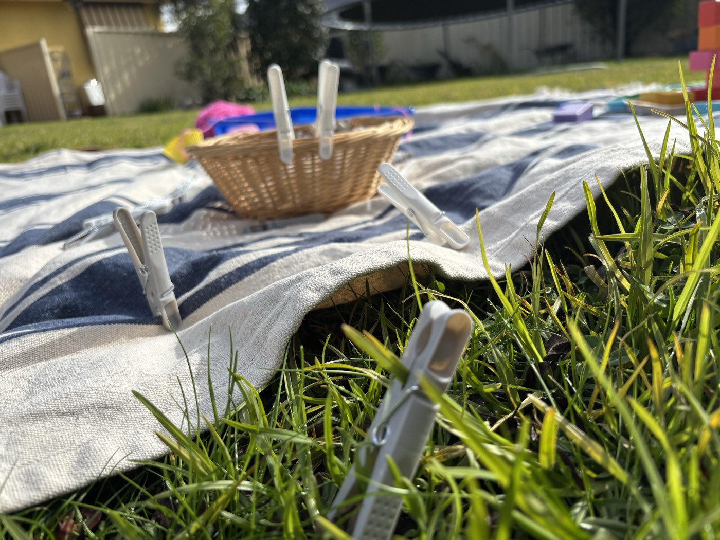 A backyard play setup on a picnic rug in the sunshine