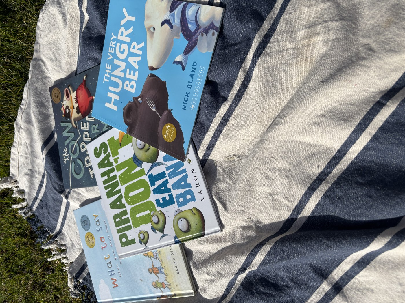 A stack of children's picture books ready for story time on the rug